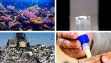 Featured innovations include reusable glue, bio-based plastics and reef-protecting screens